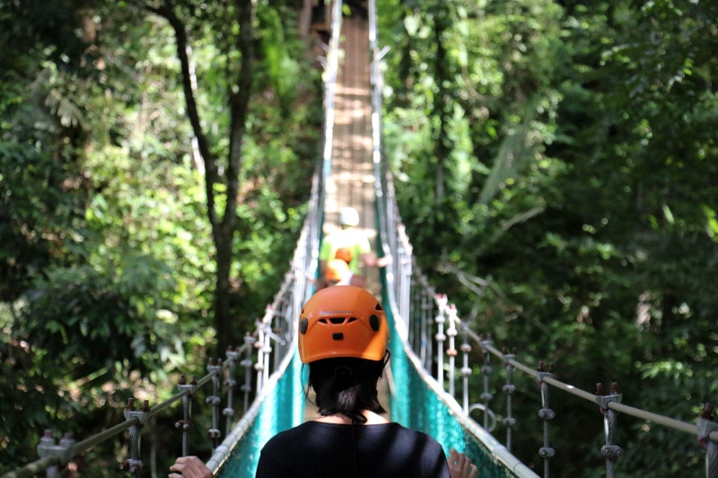 Tree climbing course